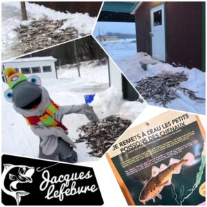 pêche aux poissons des chenaux